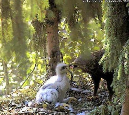 vlcsnap-2012-07-07-09h24m23s49.JPG