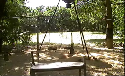 21_04 Florida.jpg