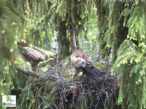 vlcsnap-2011-05-20-12h46m38s3.png