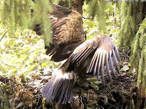 vlcsnap-2012-07-13-08h59m40s106.JPG