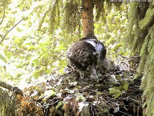 vlcsnap-2012-07-15-10h21m29s137.JPG