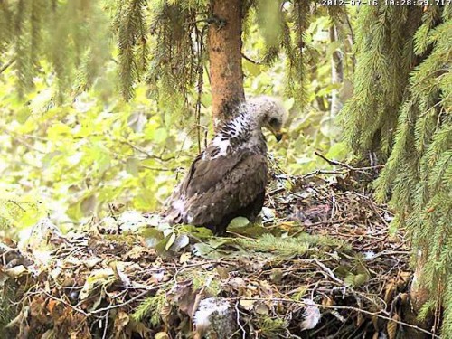 vlcsnap-2012-07-16-10h31m10s118.JPG
