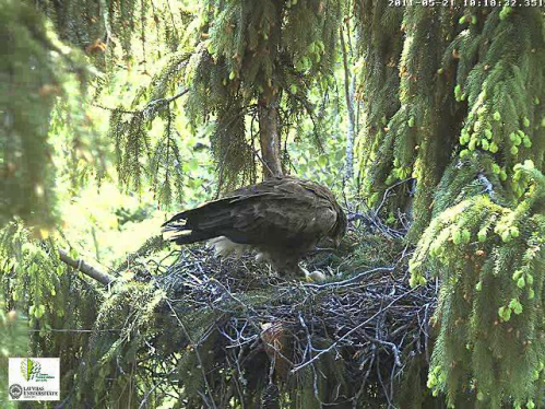 vlcsnap-2011-05-21-10h19m03s236.png