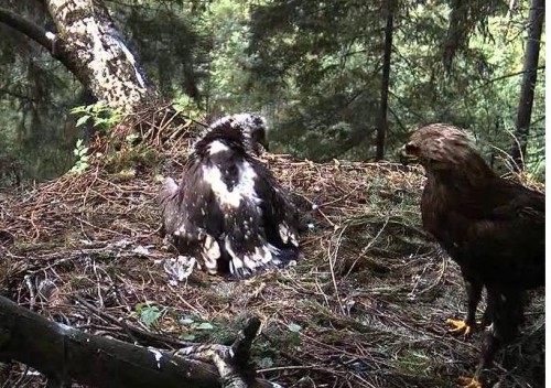 tuule 19.07.12.  16.37.JPG