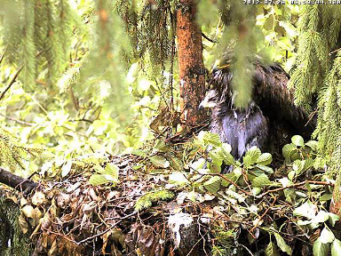 vlcsnap-2012-07-20-07h02m05s130.png