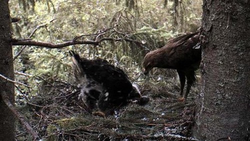 eha 24.07.12 12.07.JPG