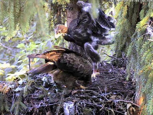 vlcsnap-2012-07-24-19h13m36s40.JPG