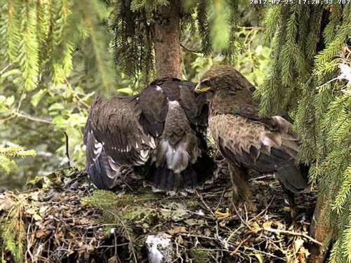 vlcsnap-2012-07-25-17h26m19s78.JPG