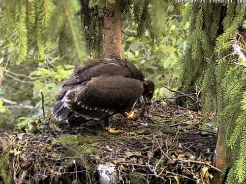 vlcsnap-2012-07-25-18h25m10s59.JPG