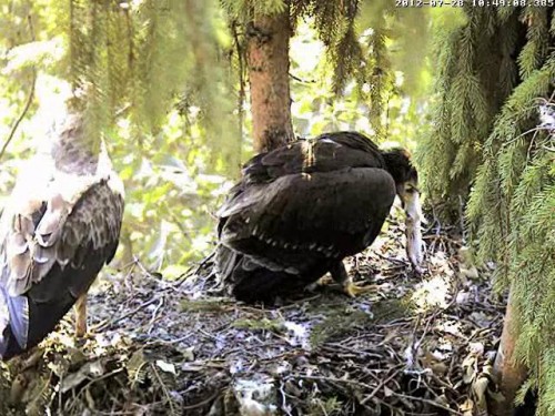 vlcsnap-2012-07-28-10h54m06s23.JPG