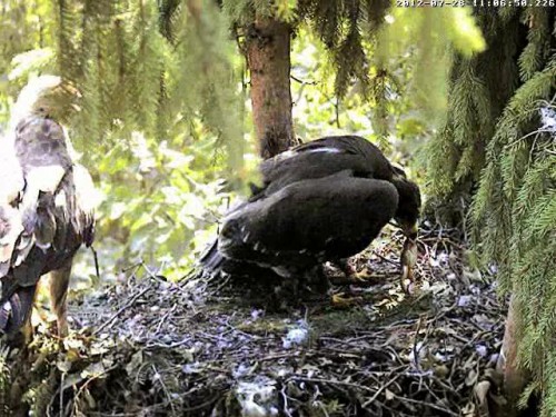 vlcsnap-2012-07-28-11h15m31s75.JPG