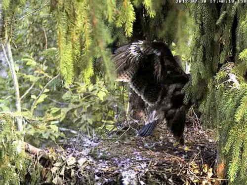 vlcsnap-2012-07-30-18h03m32s85.JPG