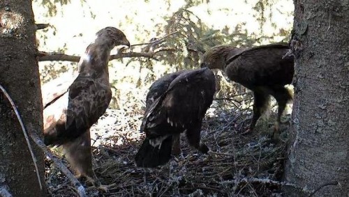 eha 31.07.12 16.20.JPG