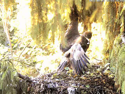 vlcsnap-2012-08-02-05h54m57s238.png