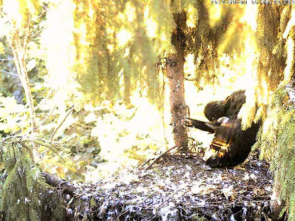 vlcsnap-2012-08-03-06h02m56s101.png
