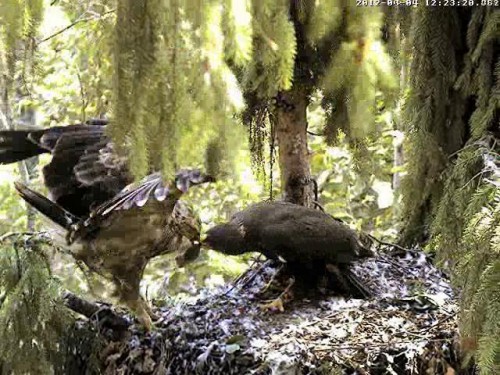 vlcsnap-2012-08-04-12h26m38s117.JPG