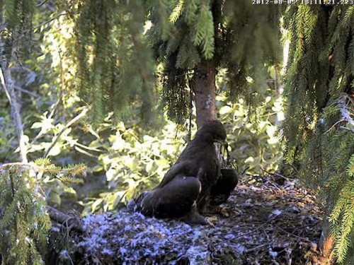 vlcsnap-2012-08-05-18h28m44s67.JPG