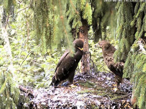 vlcsnap-2012-08-05-19h25m20s228.JPG
