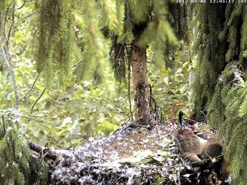vlcsnap-2012-08-06-12h45m58s32.JPG