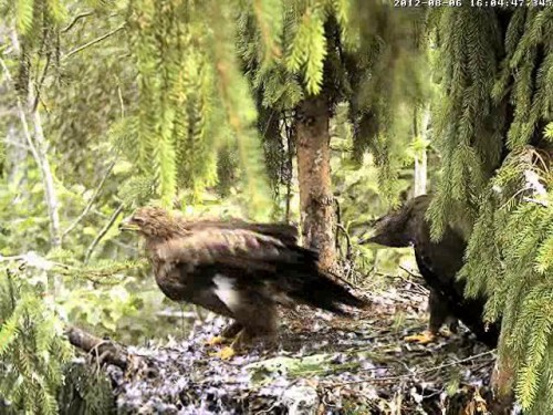 vlcsnap-2012-08-06-16h11m28s191.JPG