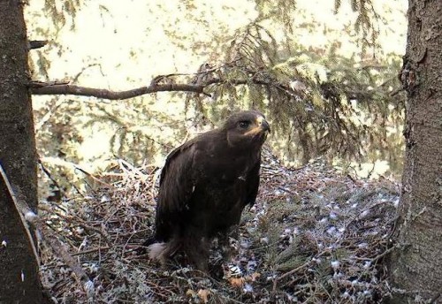 eha 09.08.12 16.33.JPG