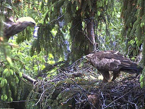 vlcsnap-2011-05-24-14h03m31s22-crop.png