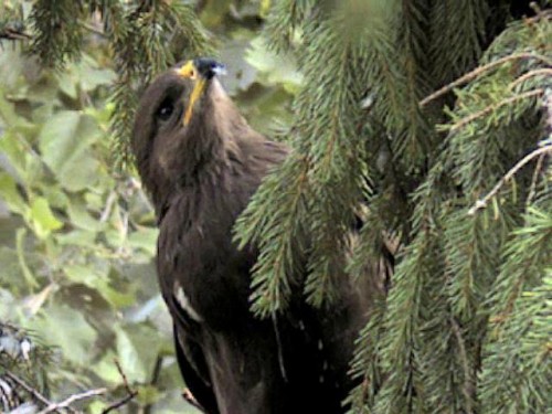 vlcsnap-2012-08-10-13h38m13s104.JPG