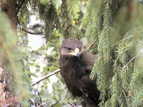 vlcsnap-2012-08-10-19h32m35s175.JPG