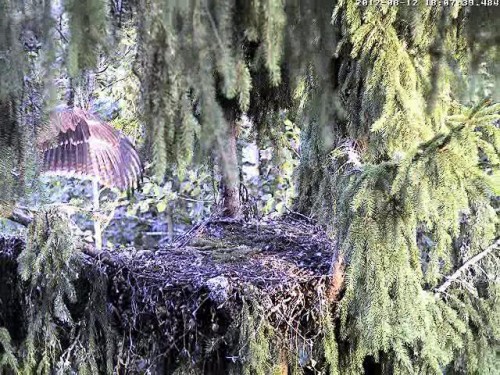 vlcsnap-2012-08-12-18h35m23s157.JPG