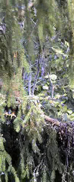 vlcsnap-2012-08-13-17h52m07s33.png