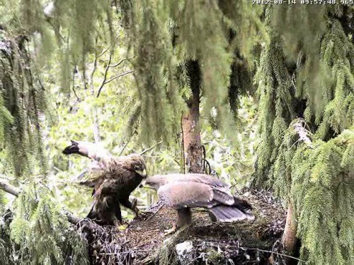 vlcsnap-2012-08-14-10h40m44s176.JPG