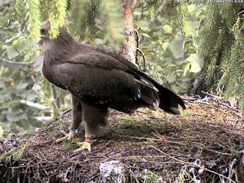 vlcsnap-2012-08-22-15h49m36s146.JPG