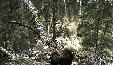 vlcsnap-2011-04-22-07h43m33s180.png