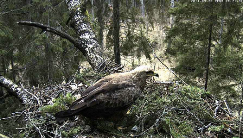 vlcsnap-2011-04-24-20h22m18s114.png