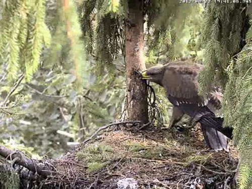 vlcsnap-2012-08-22-17h46m39s233.JPG
