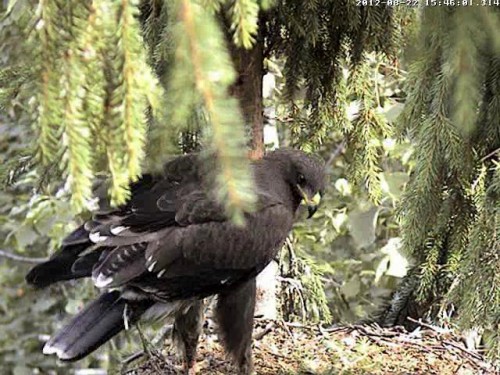 vlcsnap-2012-08-22-21h04m46s213.JPG