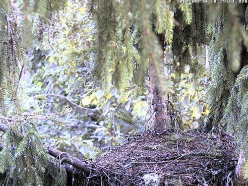 vlcsnap-2012-08-30-18h42m47s227.JPG