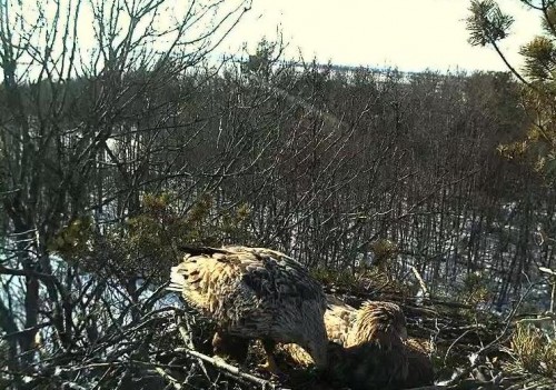 LS 19.03.13 15.53.JPG