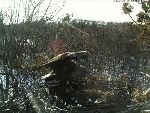 LS 19.03.13 16.19.JPG