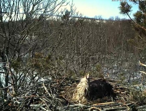 LS 21.03.13 11.05.JPG