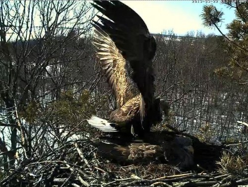 LS 22.03.13 14.08.JPG