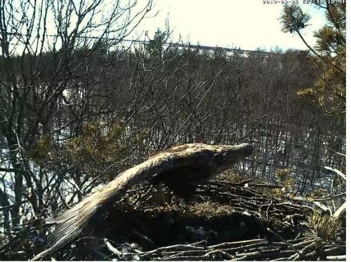 LS 25.03.13 15.15.JPG