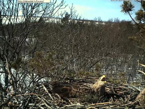 LS 28.03.13 12.07.JPG