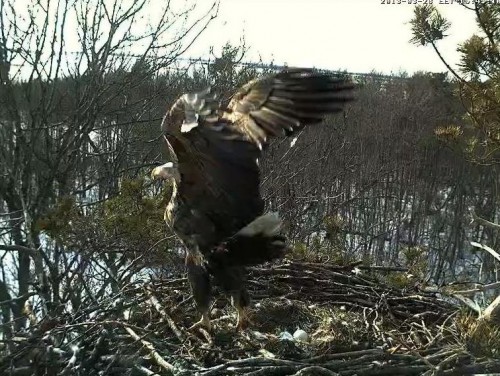 LS 28.03.13 15.45.JPG
