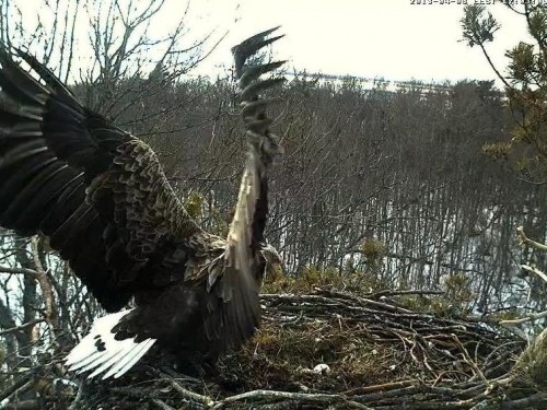 LS 08.04.13 17.03.JPG