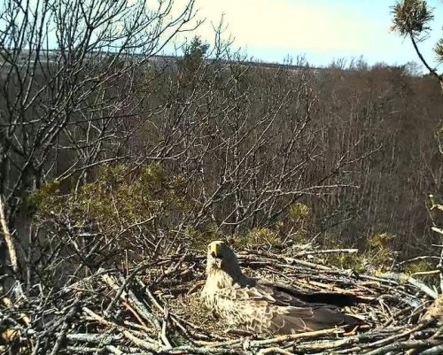 LS 22.04.13 13.01.JPG