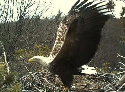 LS 23.04.13 13.39.JPG