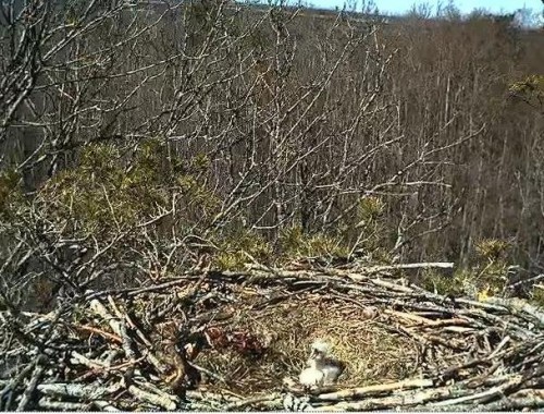 LS 25.04.13 11.40.JPG