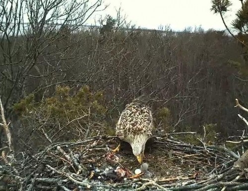 LS 26.04.13 10.03.JPG