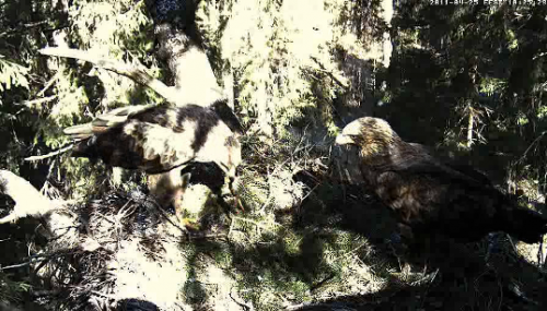 vlcsnap-2011-04-25-10h26m07s232.png